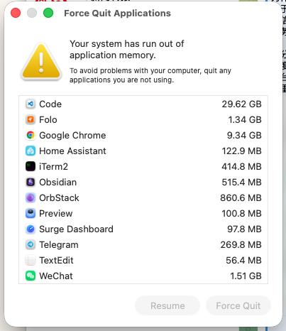 笑死,我电脑内存是 16g #apple