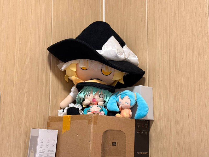 大小对比 #toy大小对比 #toy