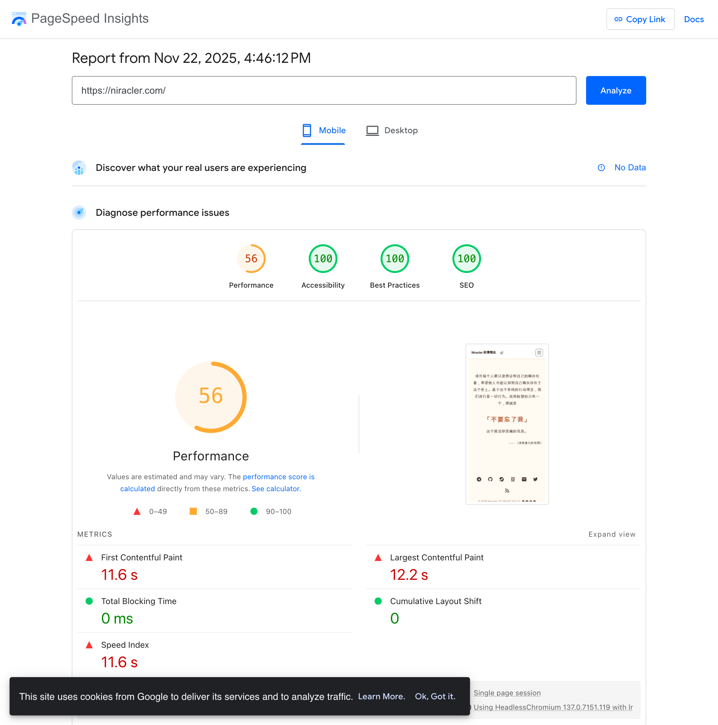 PageSpeed Insights mobile report (2025-11-22)
